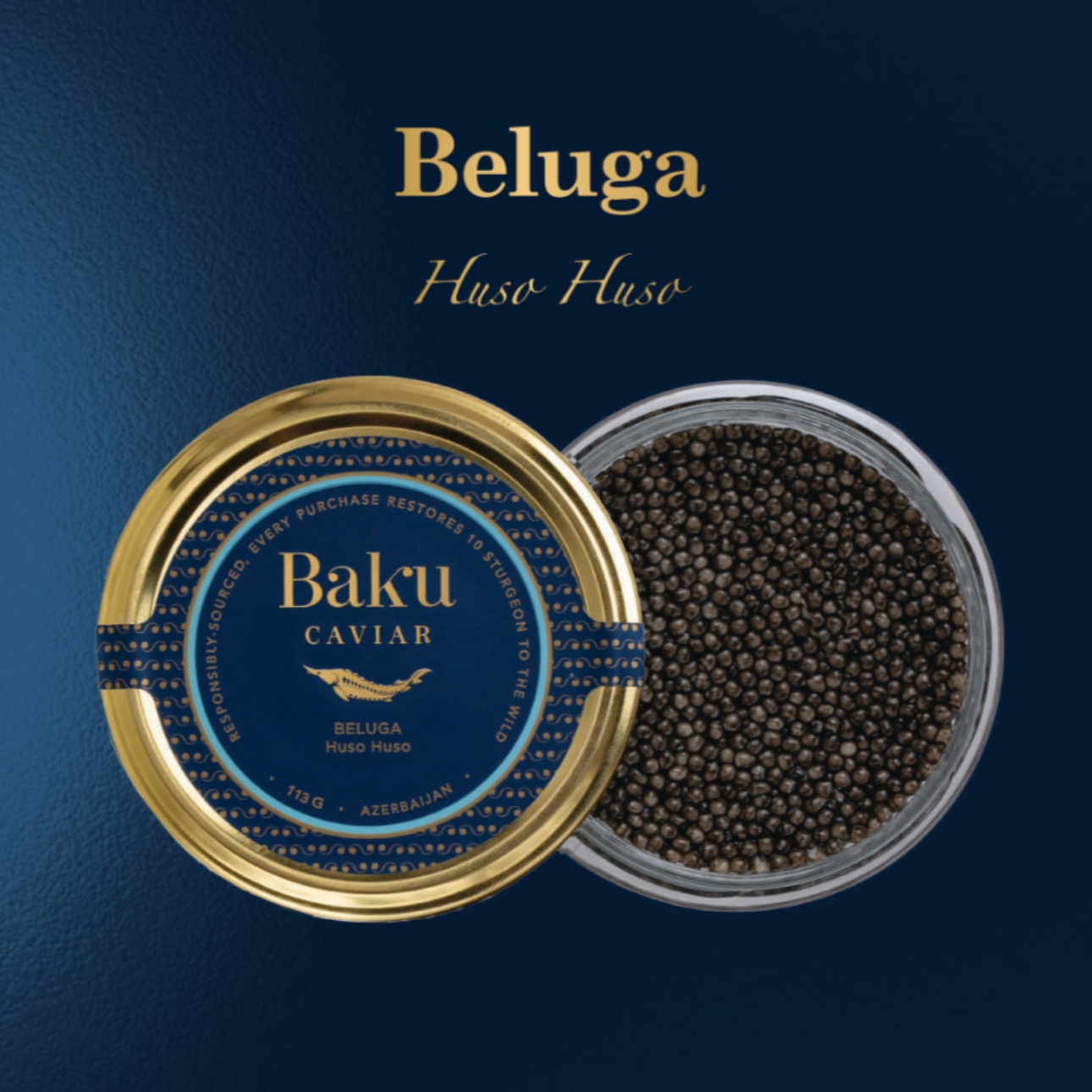 BELUGA HUSO HUSO Black Caviar