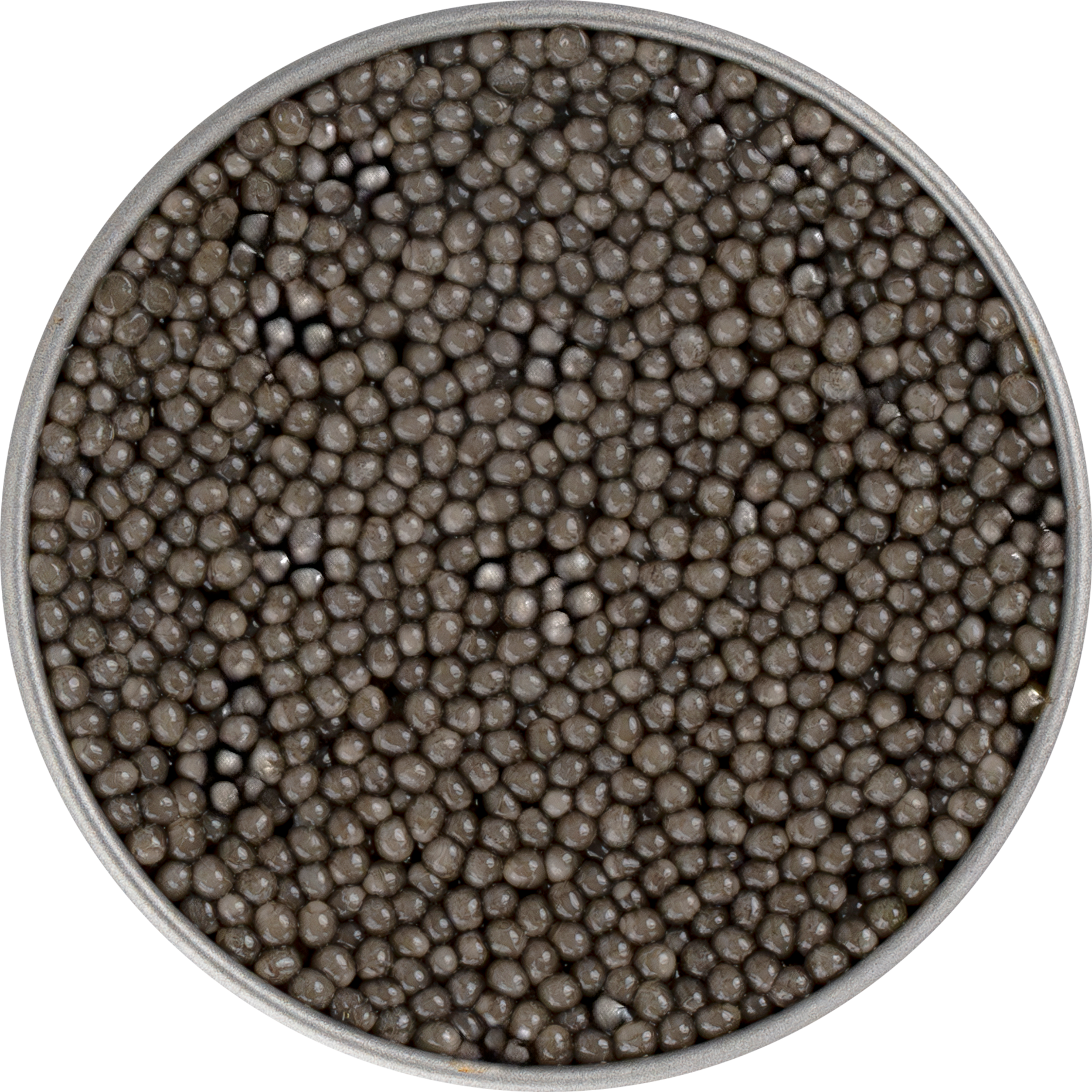 BELUGA HUSO HUSO Black Caviar