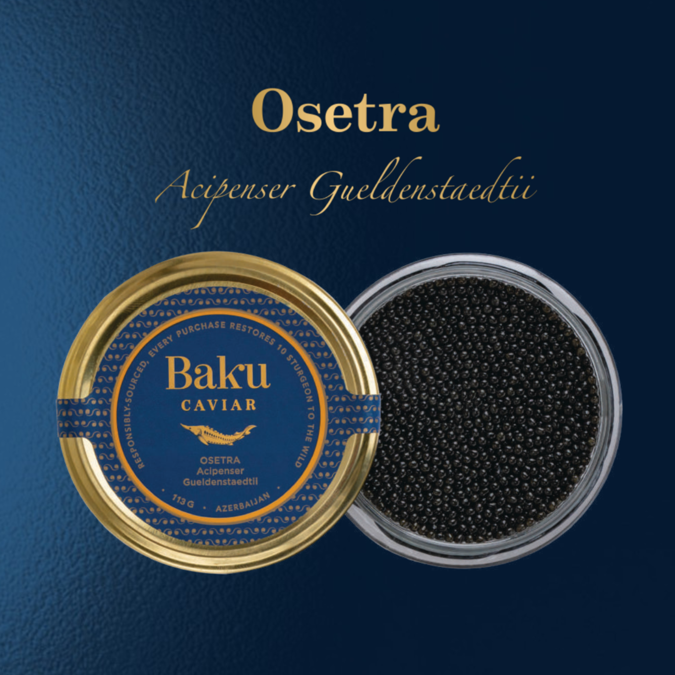 OSETRA Black Caviar