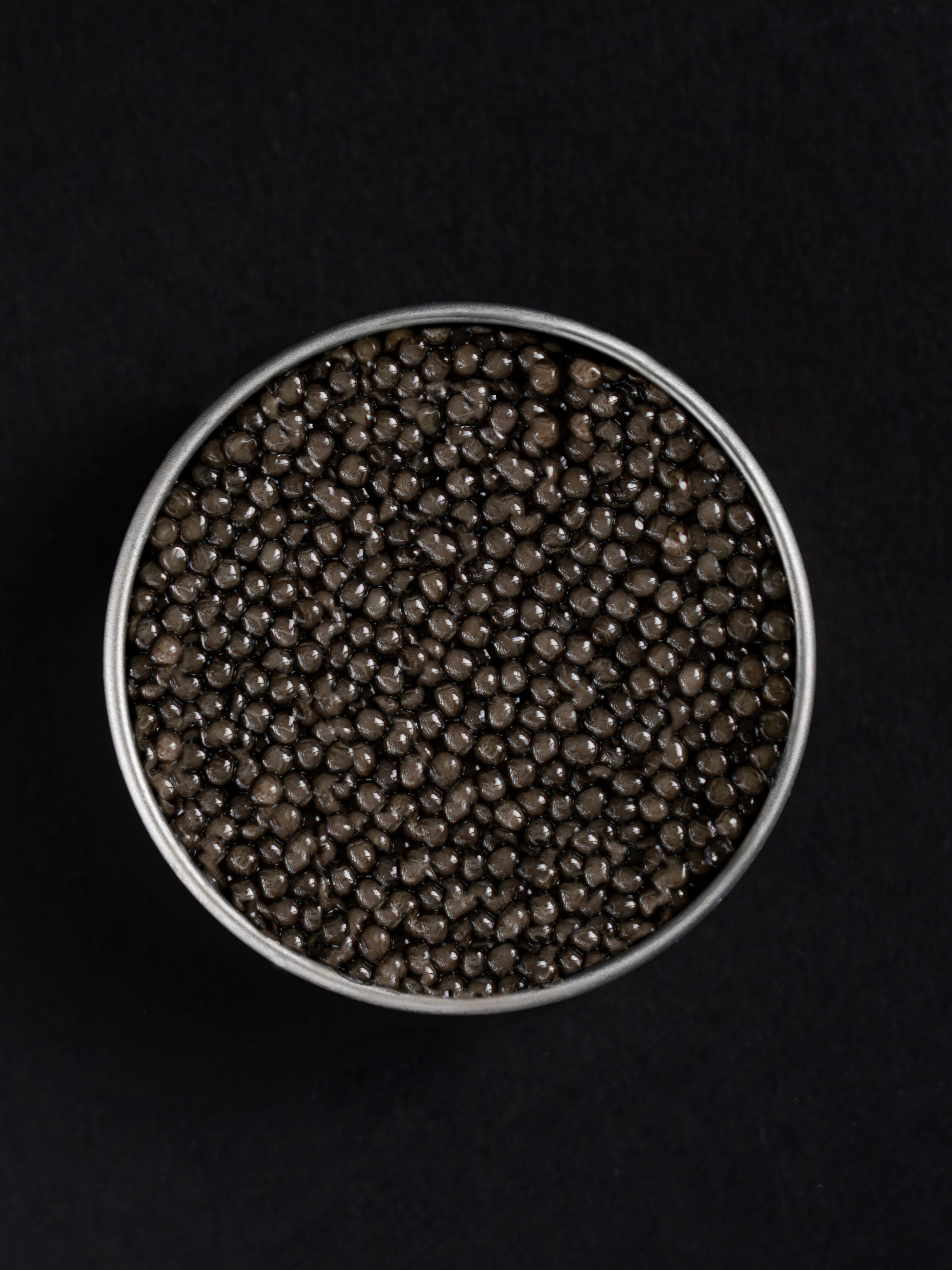 SEVRUGA Black Caviar