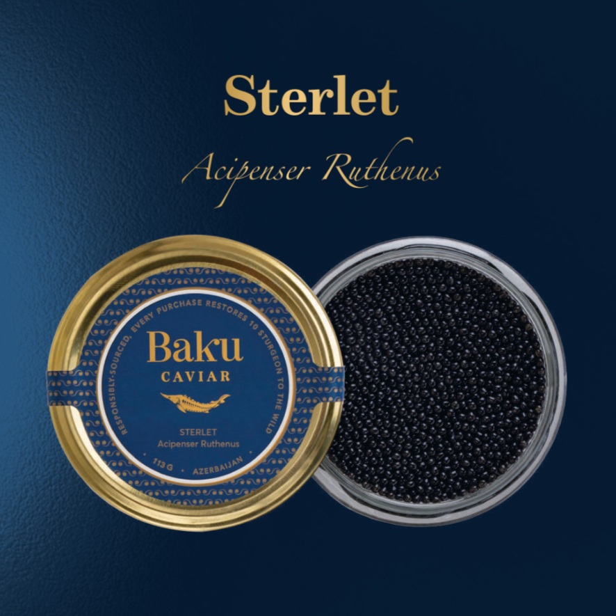STERLET Black Caviar