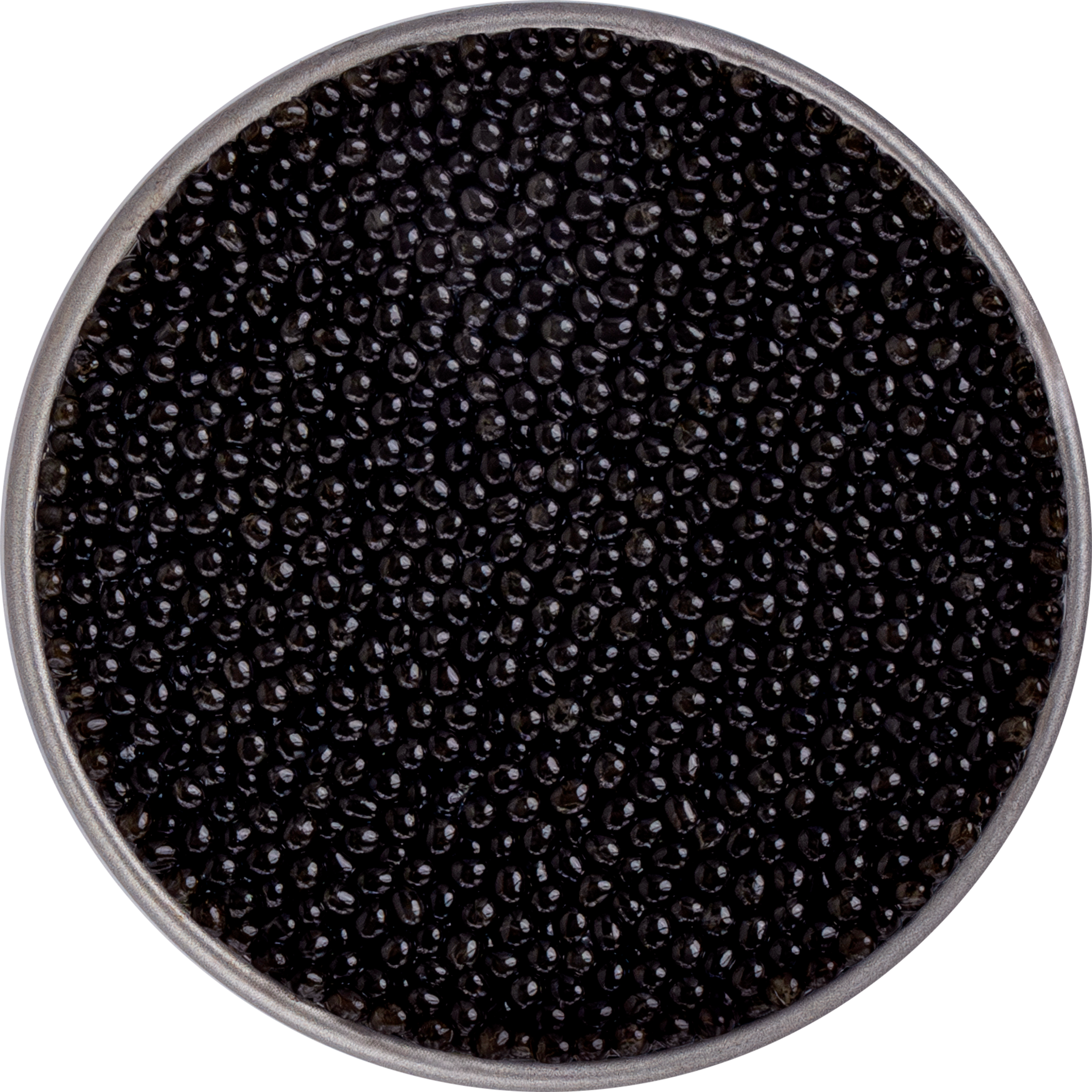 STERLET Black Caviar